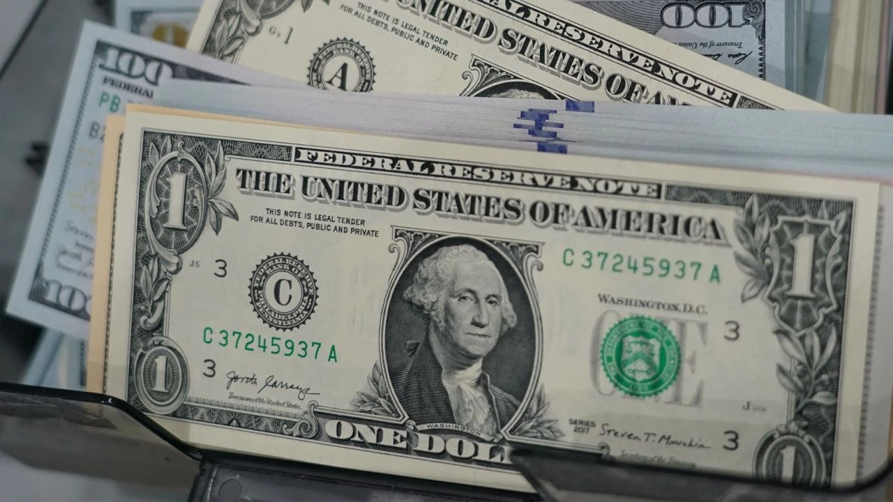 Kısa vadeli dış borç stoku yükseldi! Borç 233 milyar doları aştı - 5. Resim