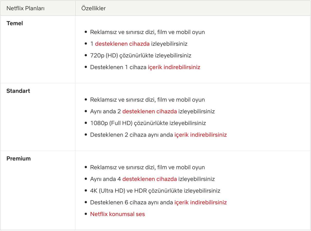 Netflix'ten beklenmedik karar: İsmini değiştirdi - 2. Resim