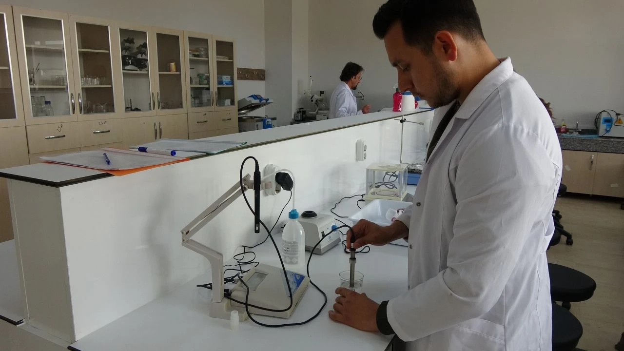 Dünyada en çok görülen kanser türüne yeni çare! Türk akademisyenler keşfetti: Ülkemizde doğal olarak yetişiyor - 2. Resim