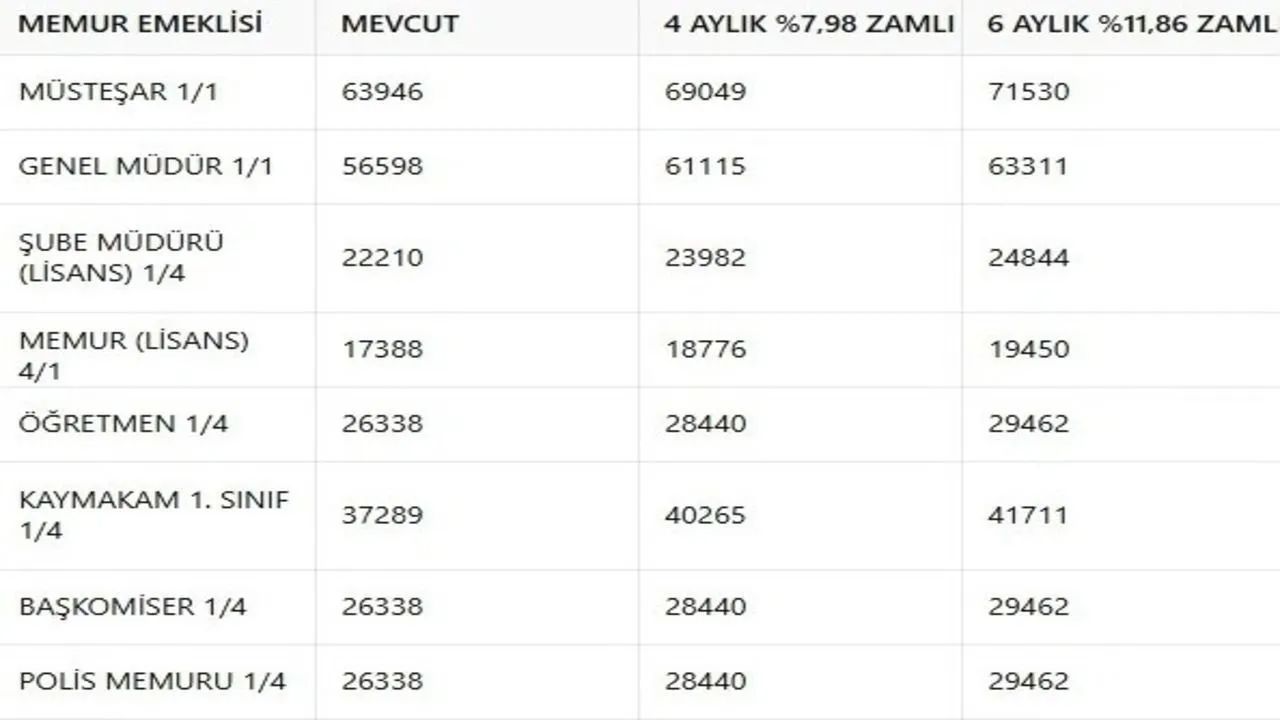 Merkez Bankası anketi tüm hesapları değiştirdi! Asgari ücret, memur, emekli: İşte meslek meslek yeni maaşlar - 4. Resim