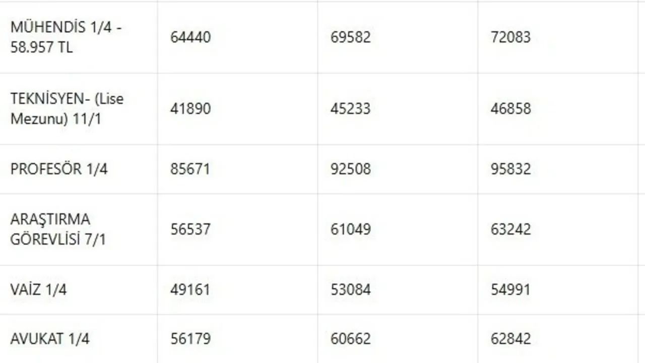 Merkez Bankası anketi tüm hesapları değiştirdi! Asgari ücret, memur, emekli: İşte meslek meslek yeni maaşlar - 3. Resim