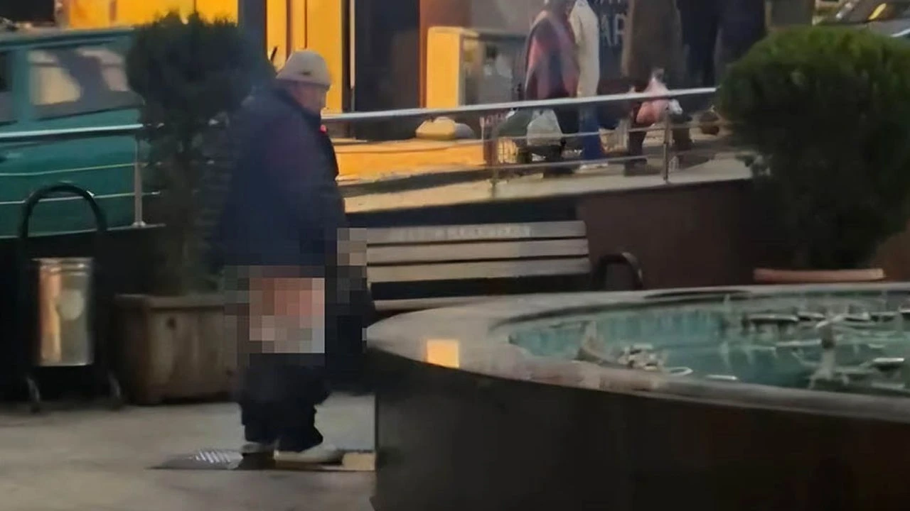 Şehrin göbeğinde mide bulandıran anlar! Süs havuzuna tuvaletini yaptı - 1. Resim