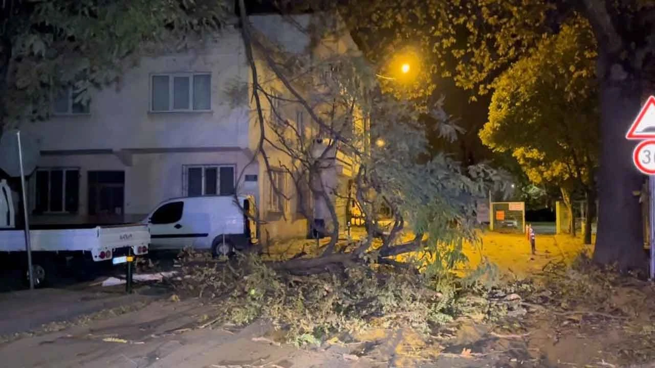 Bursa'yı şiddetli lodos vurdu: Ne var ne yok uçtu, ağaçlar devrildi - 1. Resim
