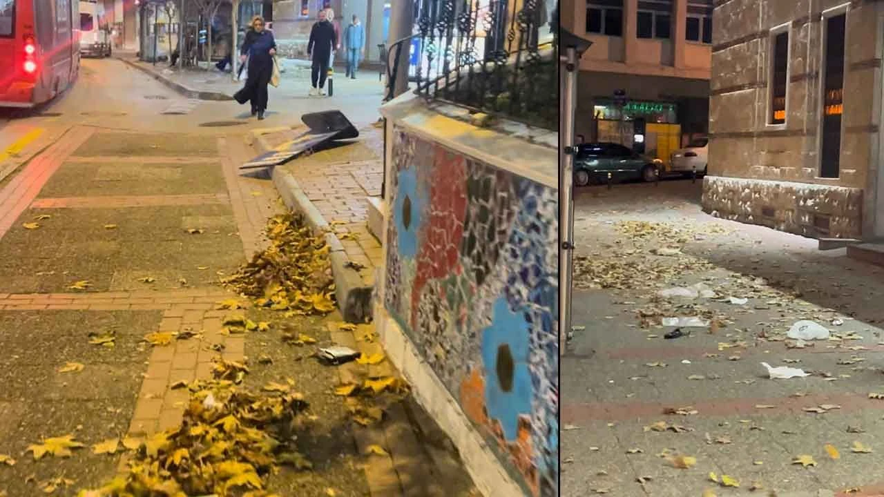 Bursa'yı şiddetli lodos vurdu: Ne var ne yok uçtu, ağaçlar devrildi - 1. Resim