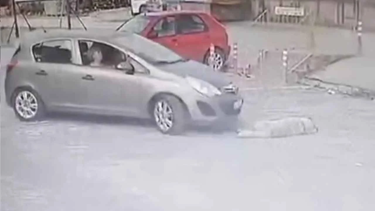 Caniliğin bu kadarı! Otomobille köpeğin üzerinden geçip gitti - 1. Resim