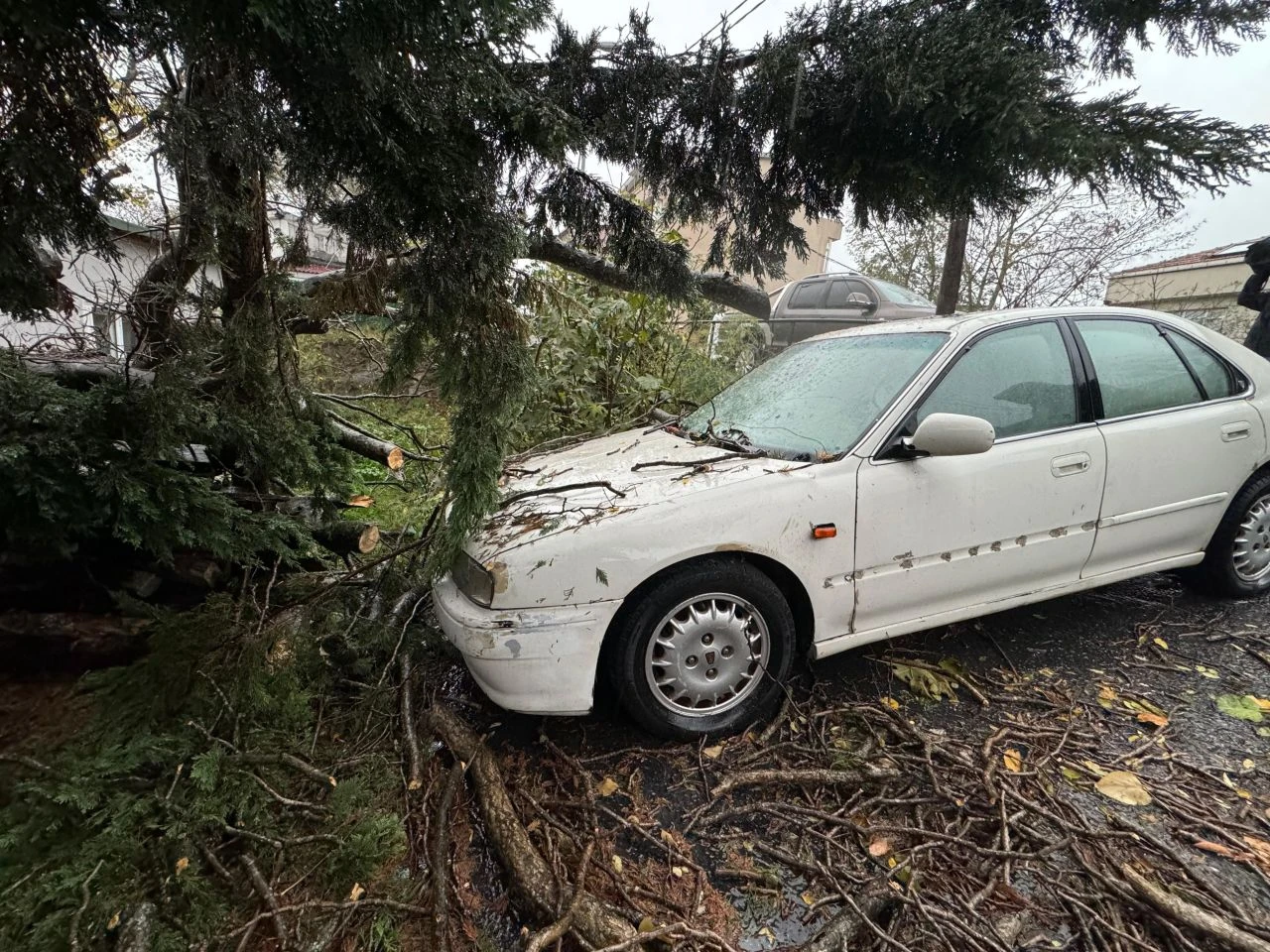 Marmara'da kuvvetli yağış ve lodos alarmı! Konsolosluk çatısından parçalar böyle koptu - 2. Resim