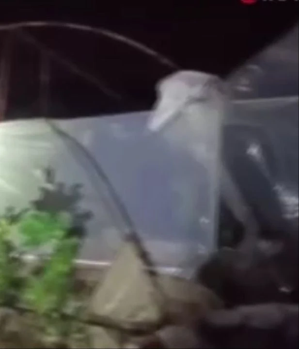 Antalya'da hortum etrafı savaş alanına çevirdi! Evler hasar gördü, seralar uçtu: