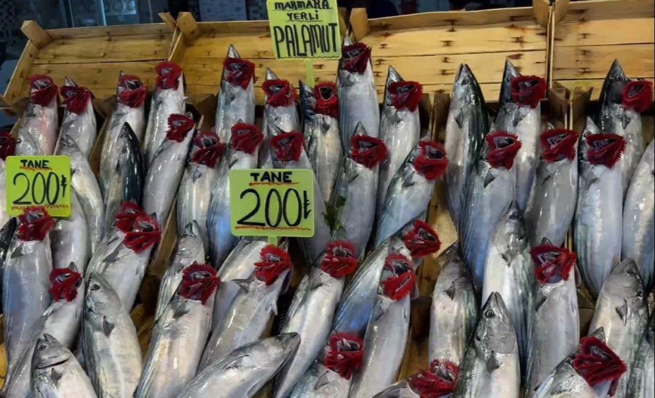 Palamuda veda zamanı geldi: Soğuk hava hamsiye yarayacak! İşte tezgahlardaki balık fiyatları - 2. Resim