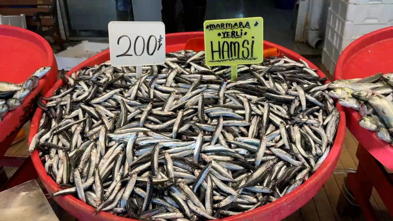 Palamuda veda zamanı geldi: Soğuk hava hamsiye yarayacak! İşte tezgahlardaki balık fiyatları - 3. Resim