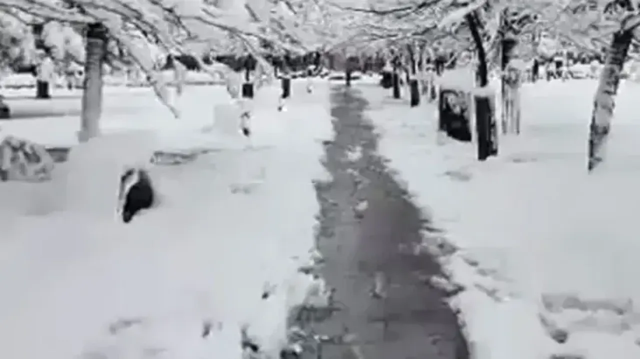 Bolu’da yarın okullar tatil mi 26 Kasım? Eğitime 1 gün ara verilmişti - 2. Resim