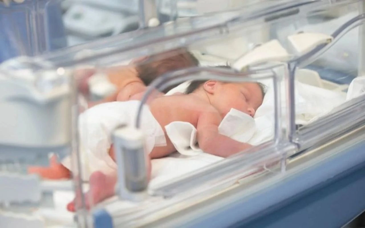 Yenidoğan Çetesi soruşturmasında yeni gelişme! Kan donduran ifadeler ortaya çıktı: Müdahaleyi bırakın