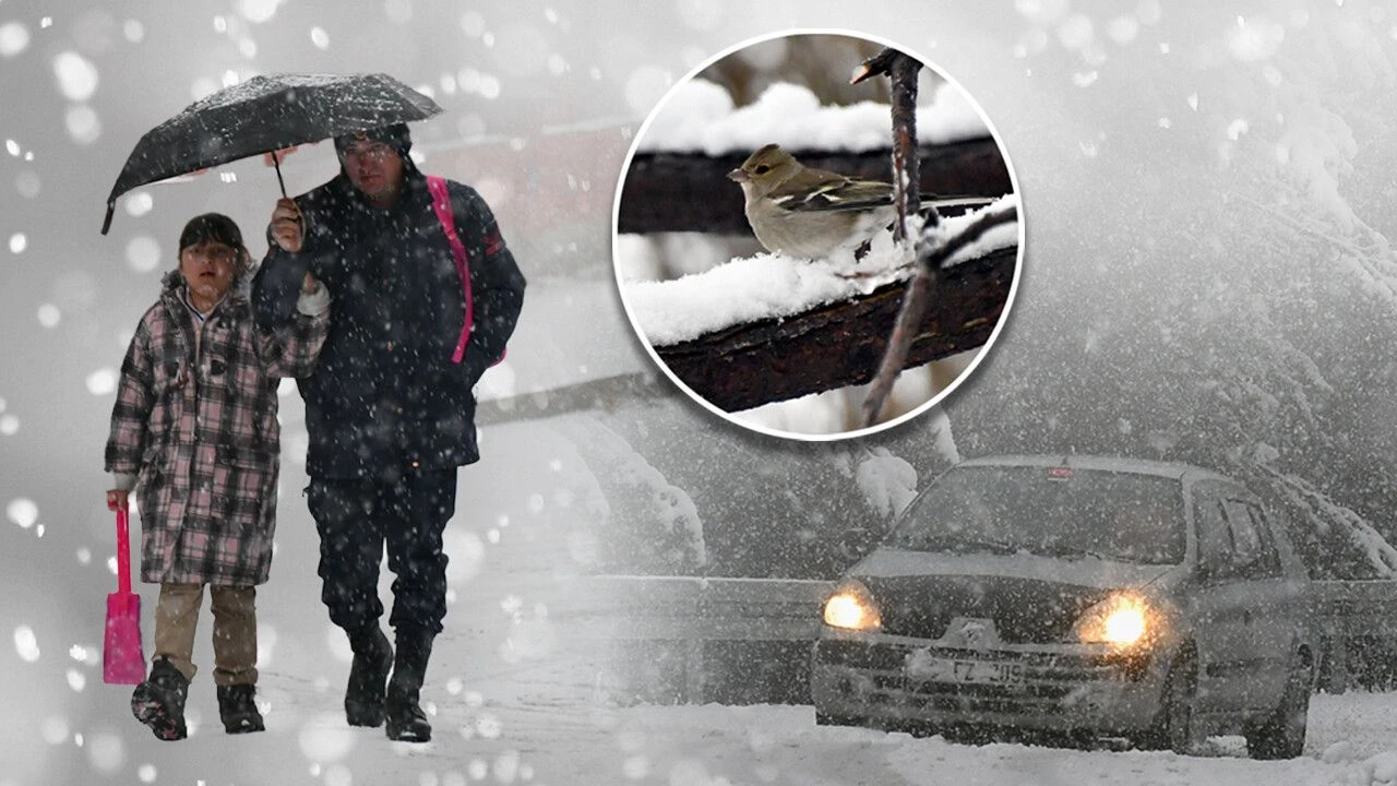 Kar yağışı etkisini artırıyor! Meteoroloji 11 il için yeni uyarı yayımladı| 26 Kasım hava durumu