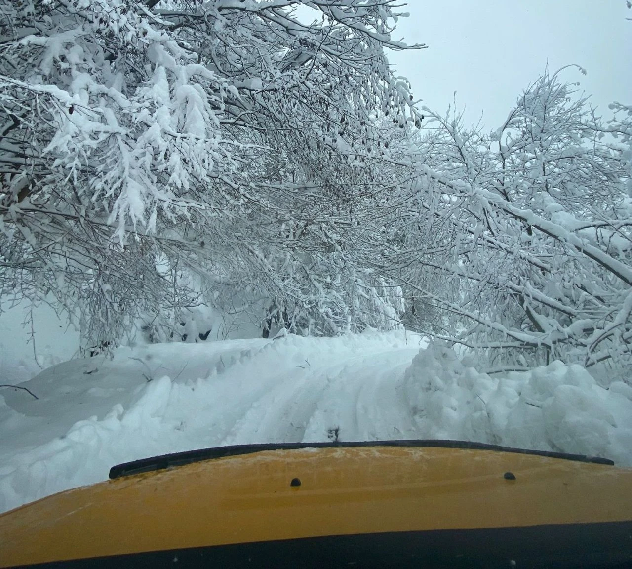 Bugün okullar tatil mi? İşte 28 Kasım kar tatili olan şehirler