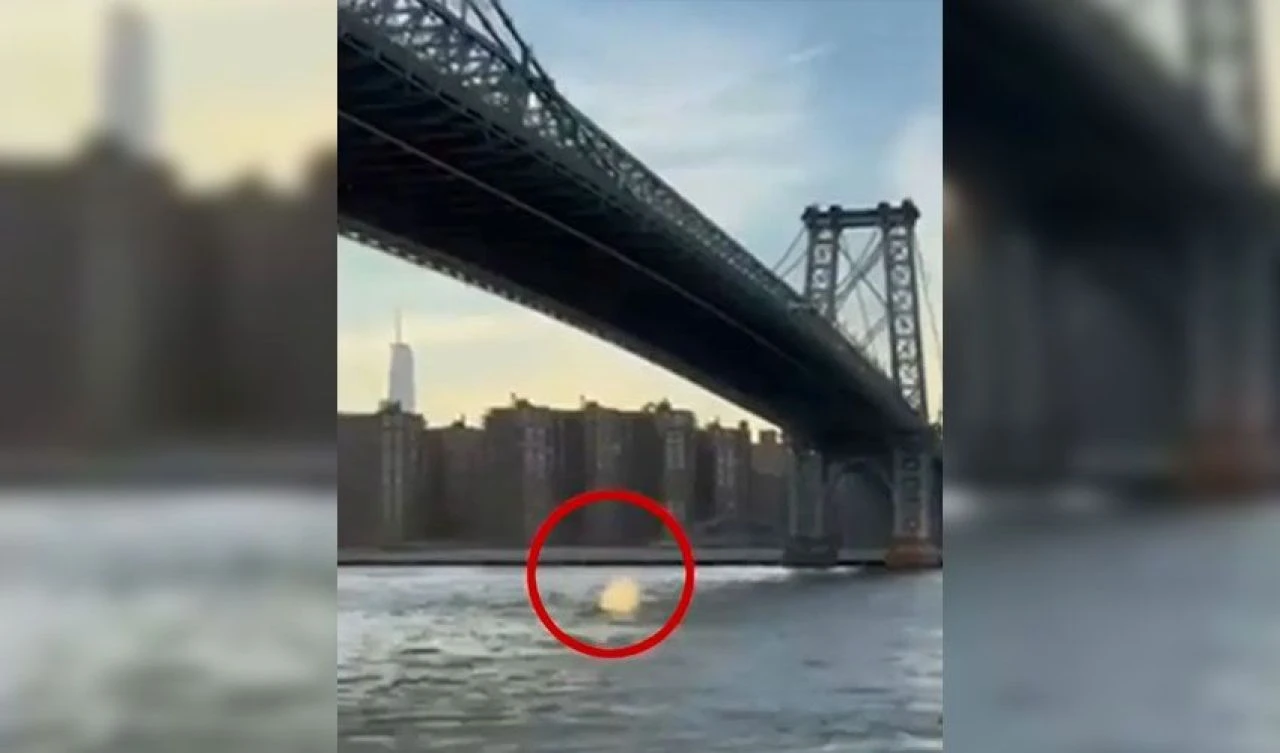 Köprünün altından geçen nadir canavar bir anda sıçradı! Görenler şoke oldu: Uzmanlar konuya açıklık getirdi - 2. Resim