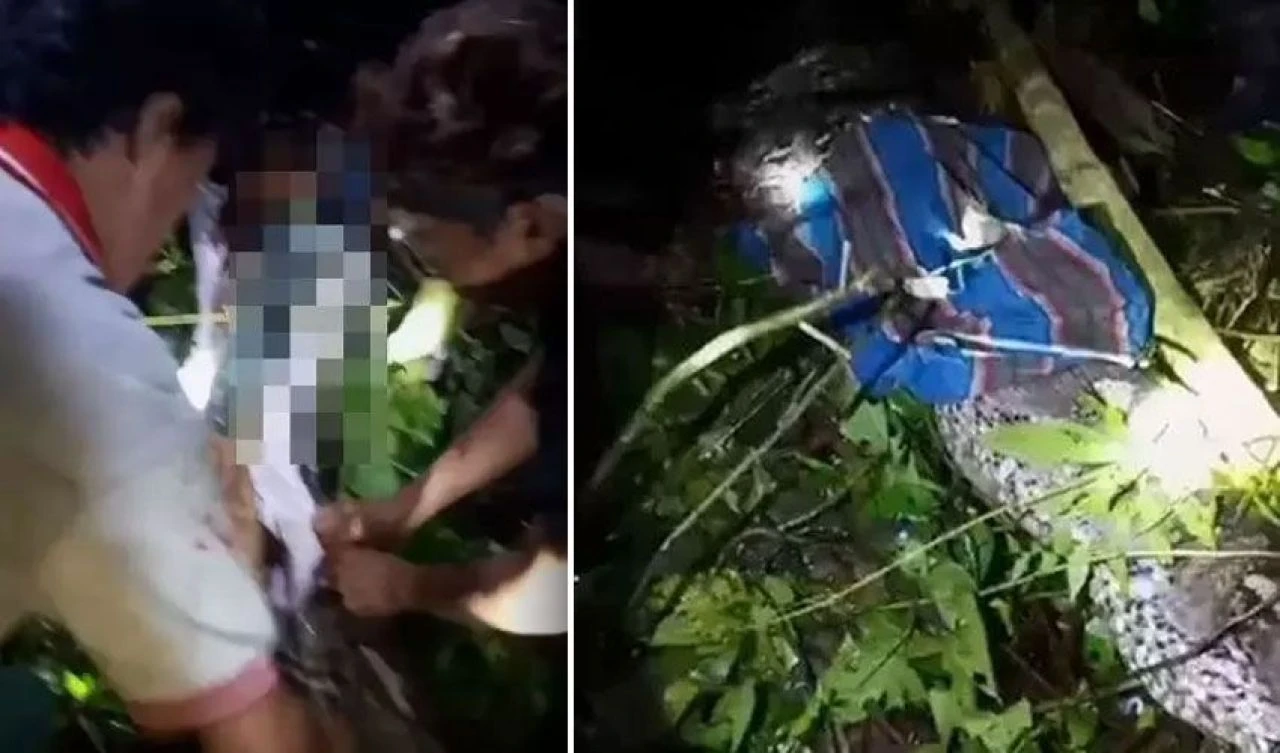 Kayıp çiftçi, piton yılanının içinden çıktı! Korkunç olay akrabasının dikkati sayesinde ortaya çıktı - 1. Resim