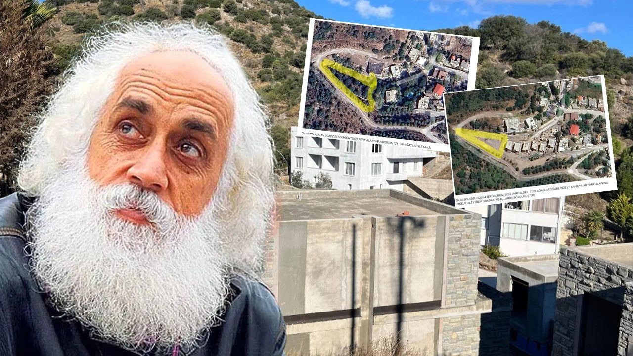 Villa dikmek için ağaç katliamı yapan Suavi için bakanlık harekete geçti! İnceleme başlatıldı, uyarı yazısı gönderildi