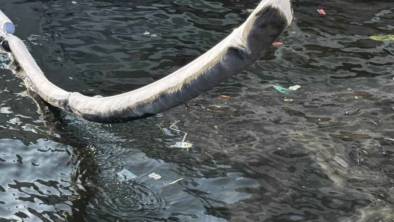 İzmir Körfezi'nde korkutan görüntü! Deniz yüzeyi siyah yağ tabakası ile kaplandı - 1. Resim