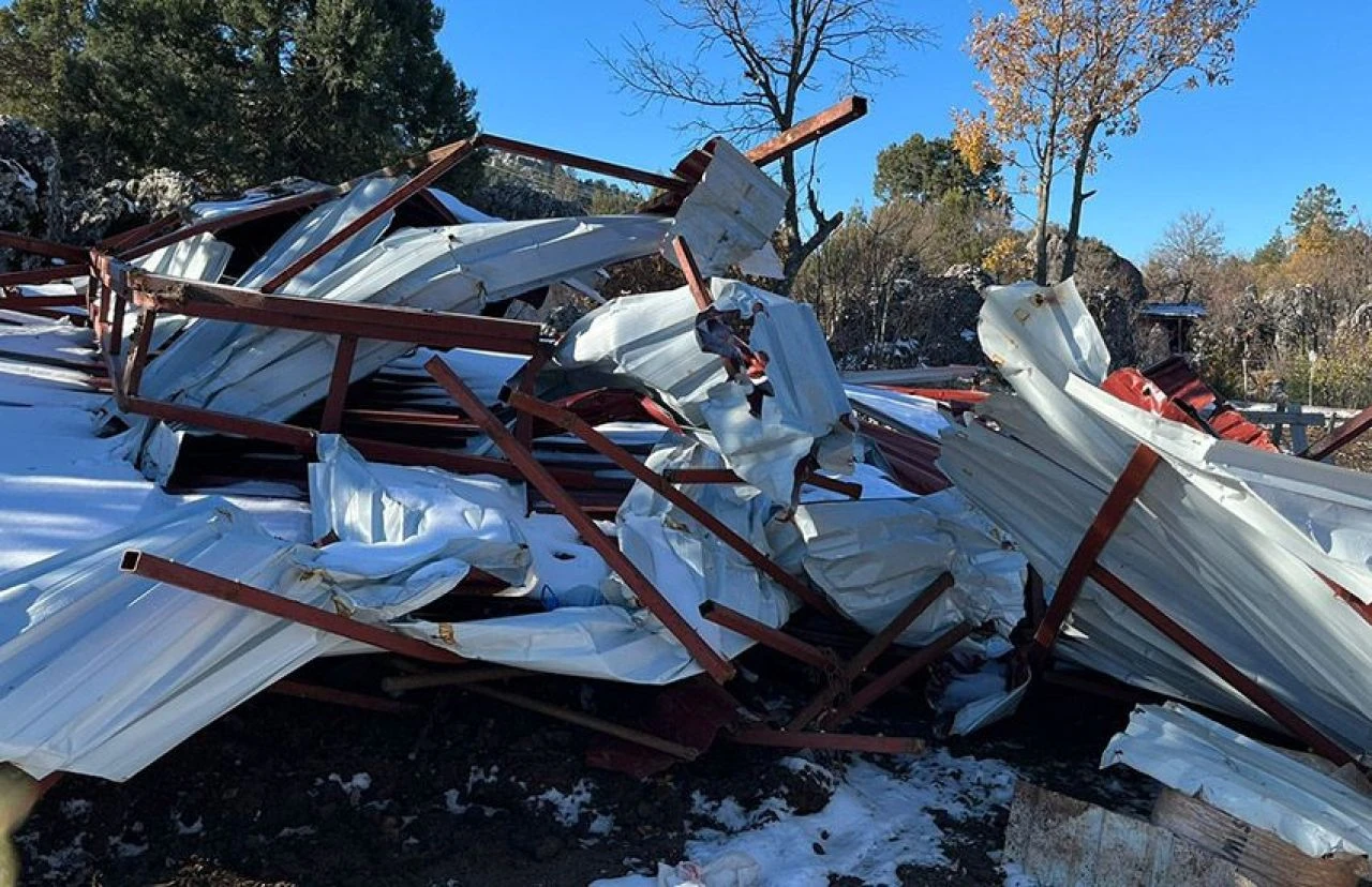 Üniversiteli Erdoğan'ı ağlatan yıkım