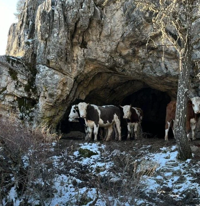 Üniversiteli Erdoğan'ı ağlatan yıkım
