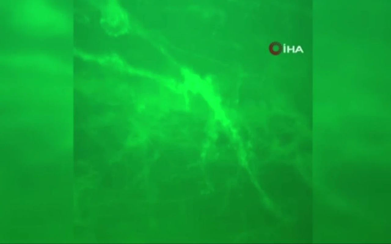 Marmara için korkutan uyarı! İstanbul ve İzmit Körfezi tehlikede! - 1. Resim