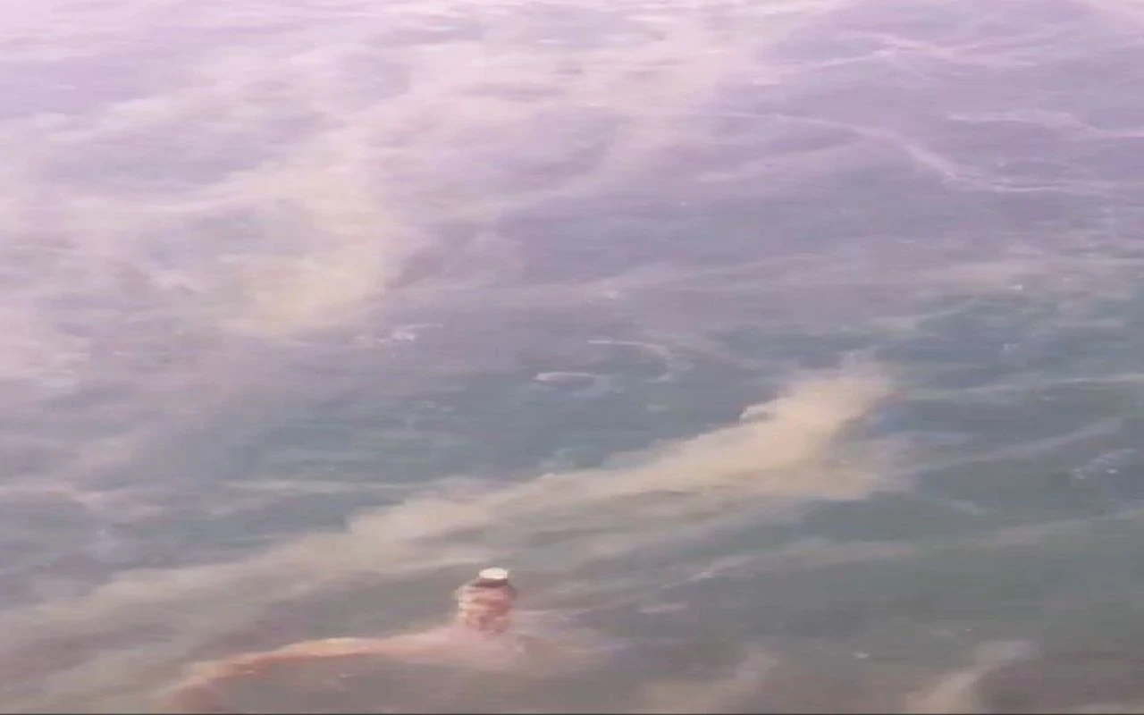 Marmara için korkutan uyarı! İstanbul ve İzmit Körfezi tehlikede! - 2. Resim