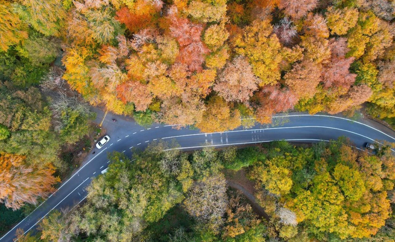 'Belgrad Ormanı imara açılıyor' iddiası için açıklama! Statü detayı paylaşıldı - 1. Resim