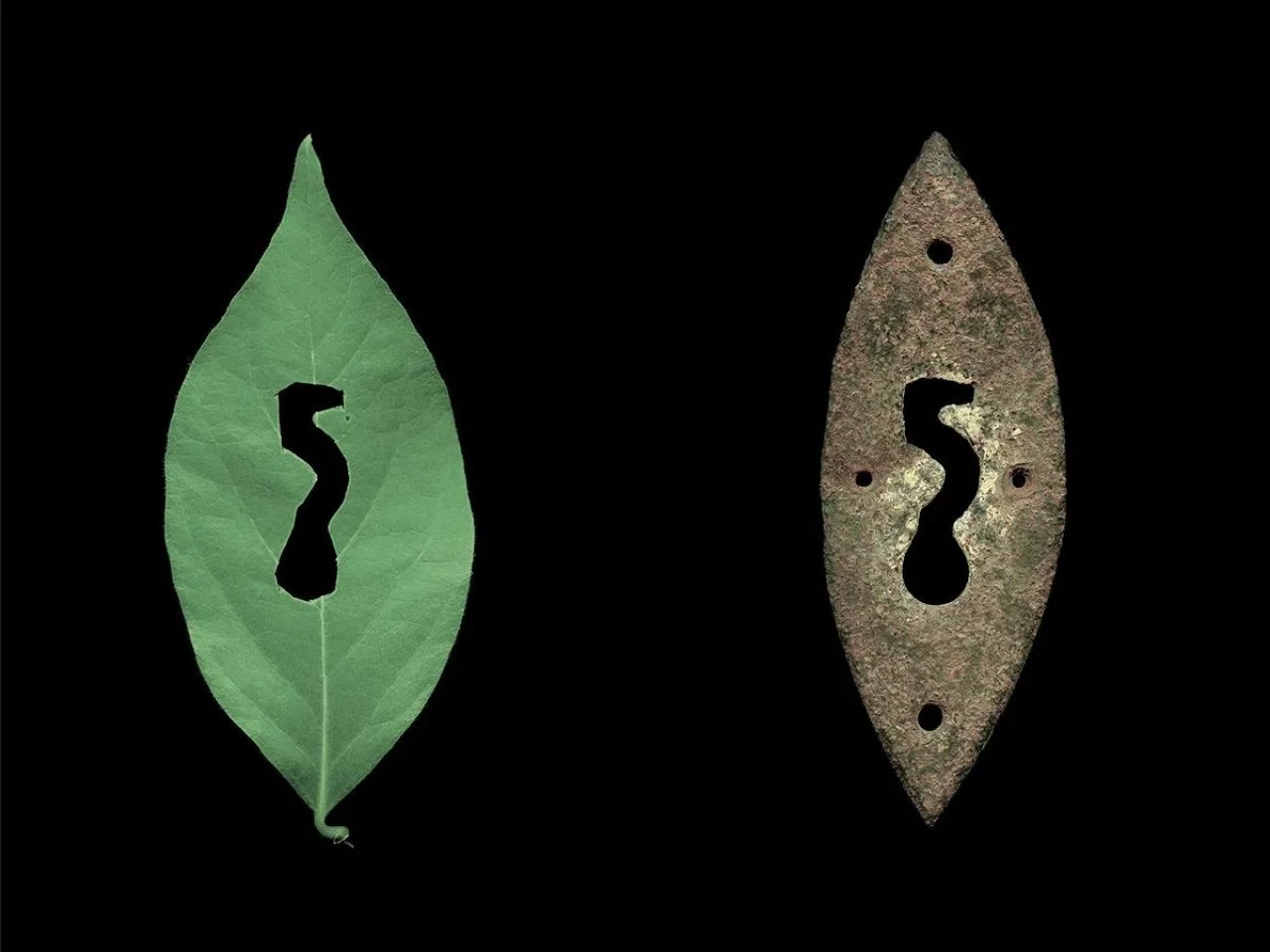 Mimesis nedir? Mimesis felsefesi ne demek? - 2. Resim