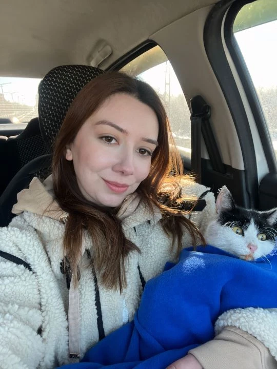 Sivas'ın dondurucu soğuğunda kedi dondu! Tüyleri, bıyıklar ve kaşları buz tuttu