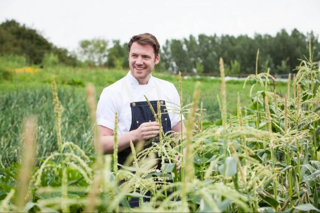 Ünlü şefin 1 milyon değerindeki turtaları çalındı! Michelin yıldızlısı hırsızlara çağrıda bulundu - 1. Resim