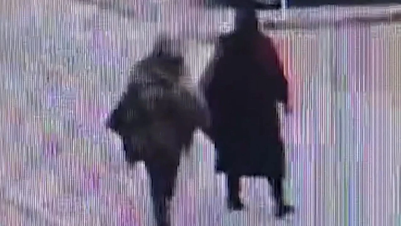 Dil düşürme yöntemiyle hırsızlık yapan kadın kıskıvrak yakalandı