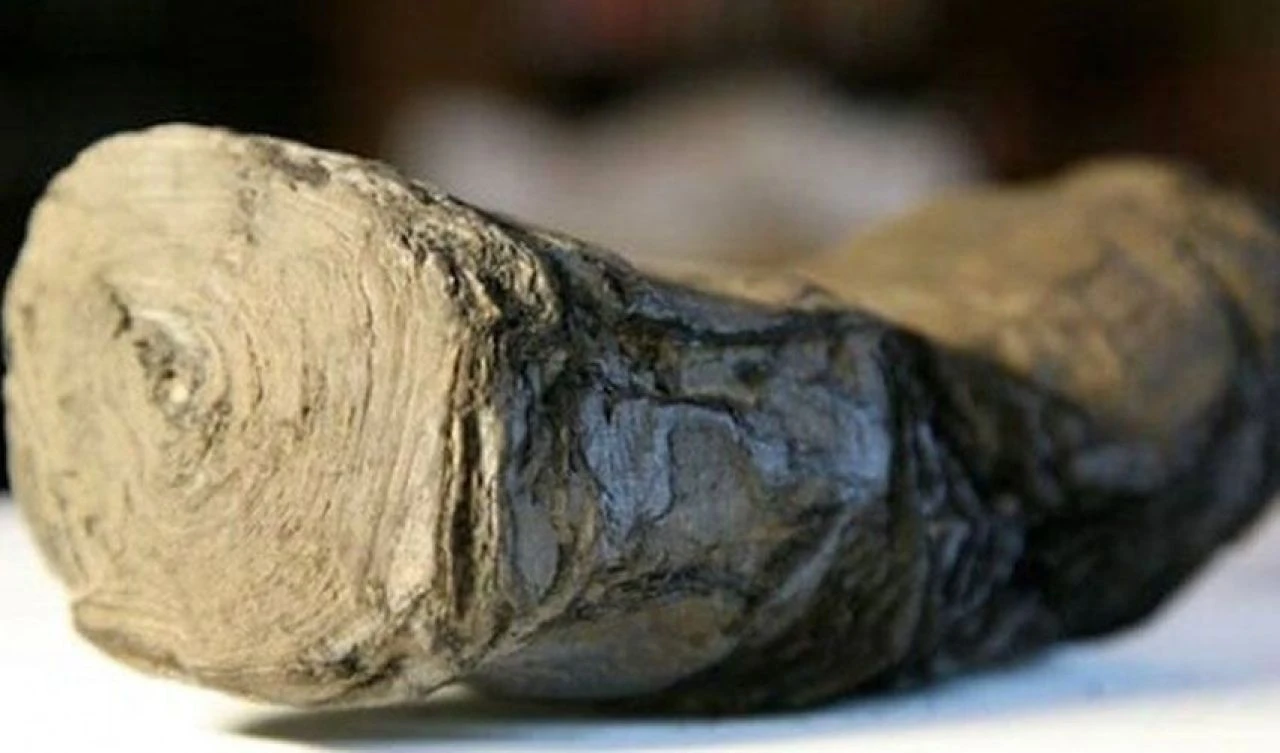 Dokunulduğu anda küle dönüyor! 2 bin yıllık parşömeni çözene 15 milyon Türk Lirası ödül - 4. Resim