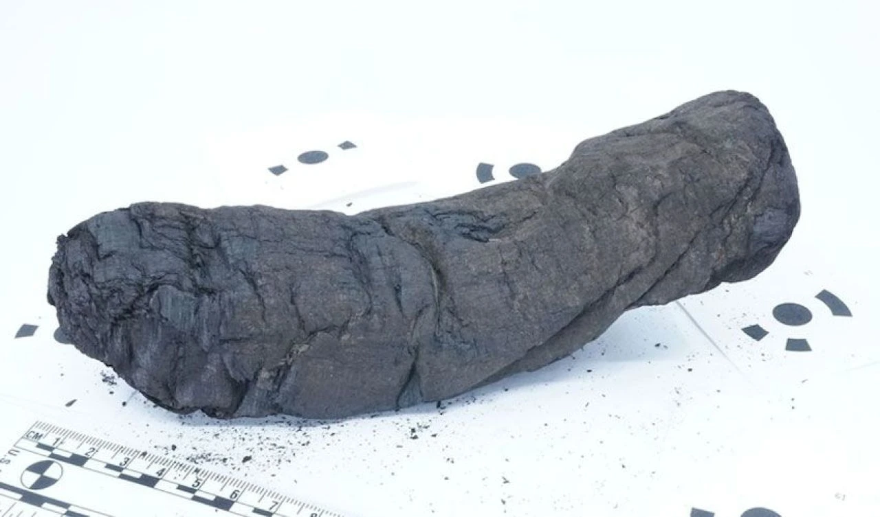 Dokunulduğu anda küle dönüyor! 2 bin yıllık parşömeni çözene 15 milyon Türk Lirası ödül - 1. Resim