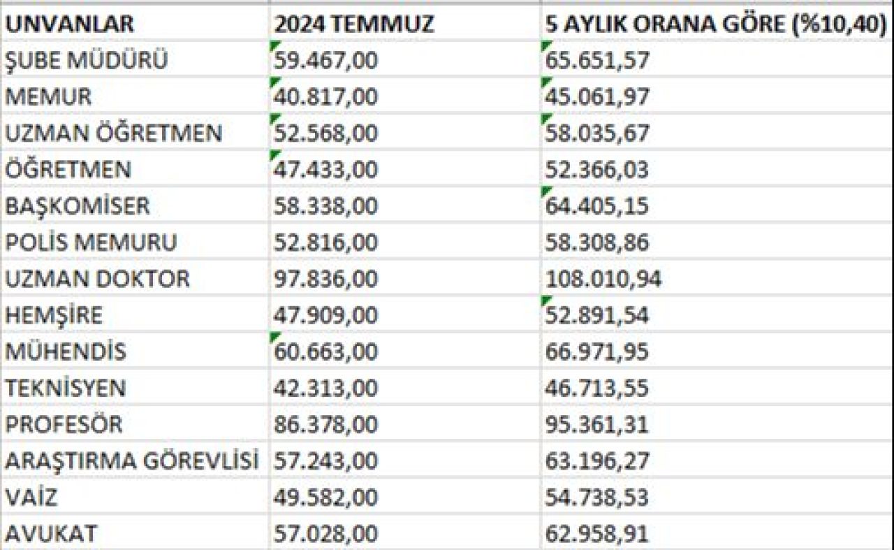 Memur maaş tablosu güncellendi! İşte polis, öğretmen, avukat, hemşire ve doktor maaşları - 4. Resim