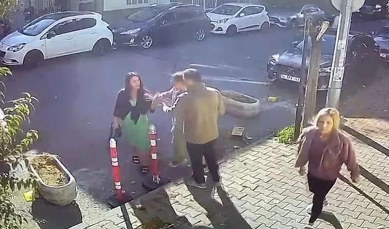 Veterinere bıraktığı kedisinin traşını beğenmeyince ortalığı birbirine kattı! Hakaretler yağdırıp saldırdı - 2. Resim