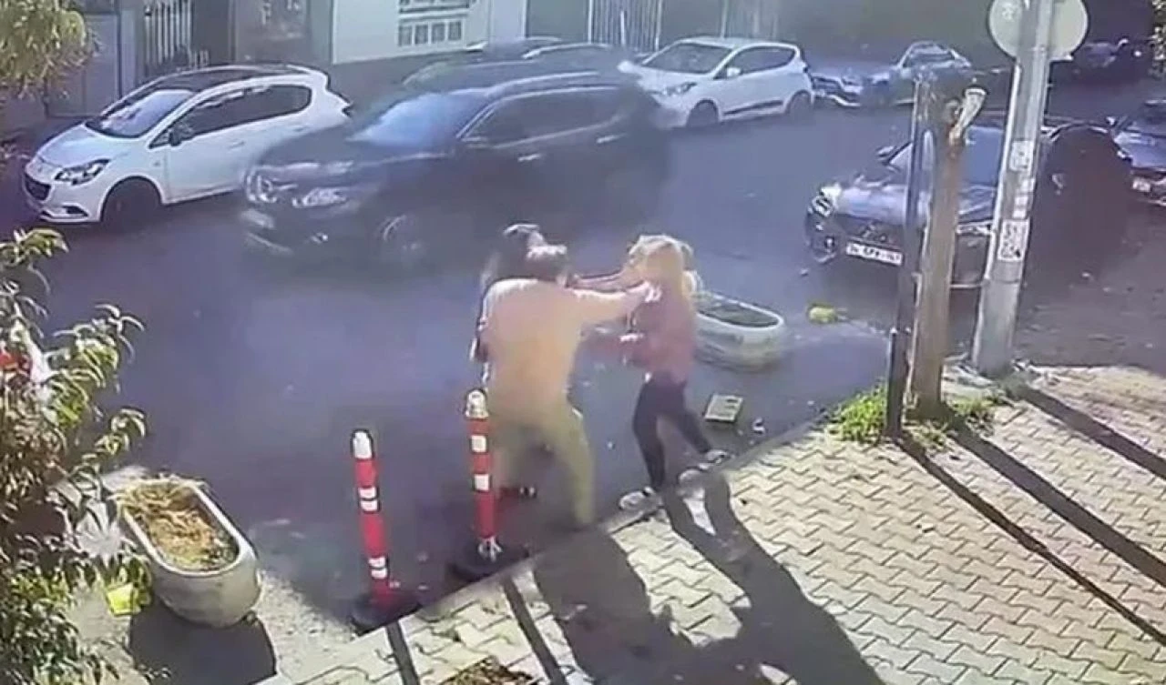 Veterinere bıraktığı kedisinin traşını beğenmeyince ortalığı birbirine kattı! Hakaretler yağdırıp saldırdı - 1. Resim