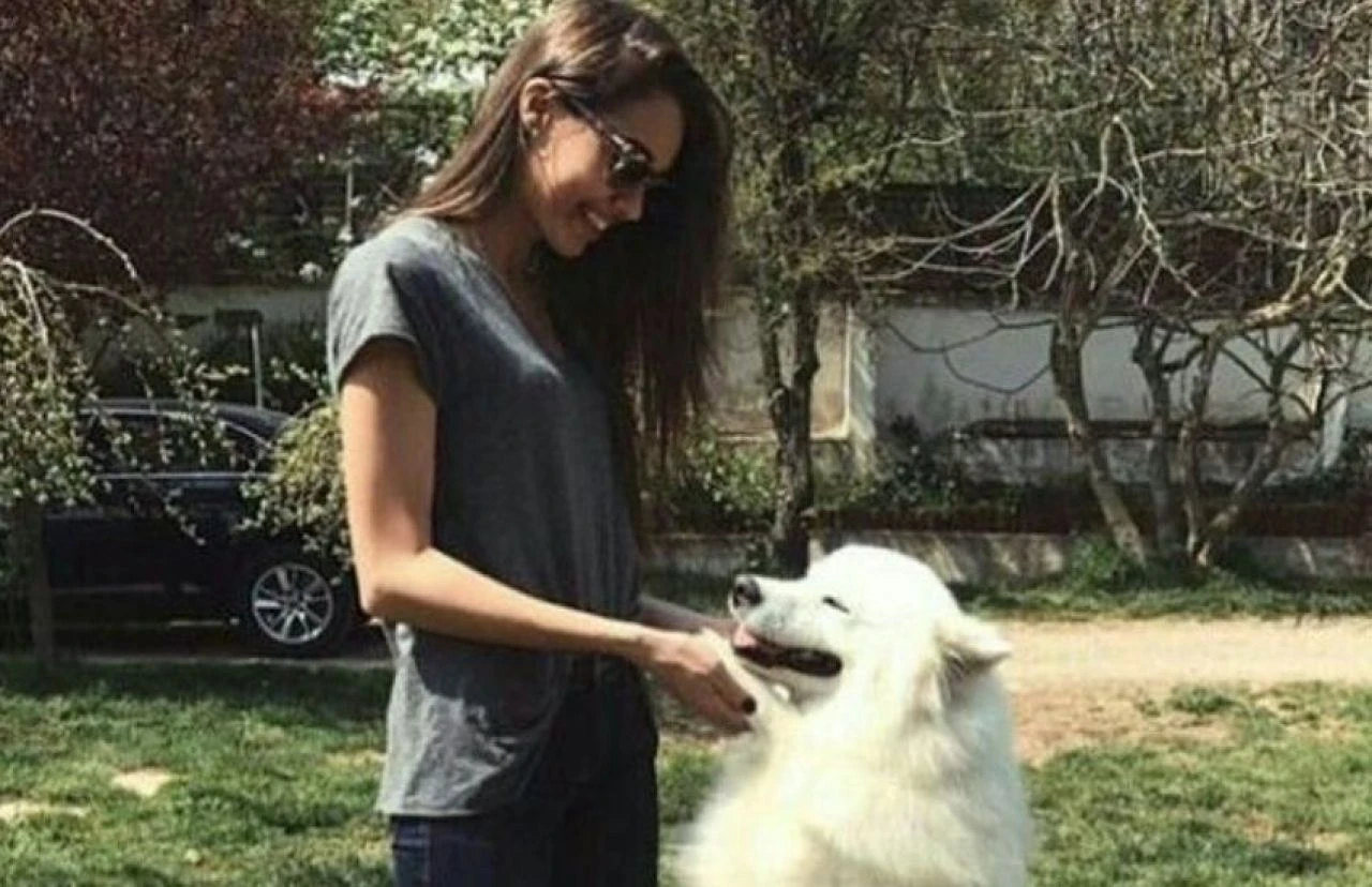 Dilan Çiçek Deniz'in korku dolu anları! Köpek saldırdı, soluğu hastanede aldı - 1. Resim