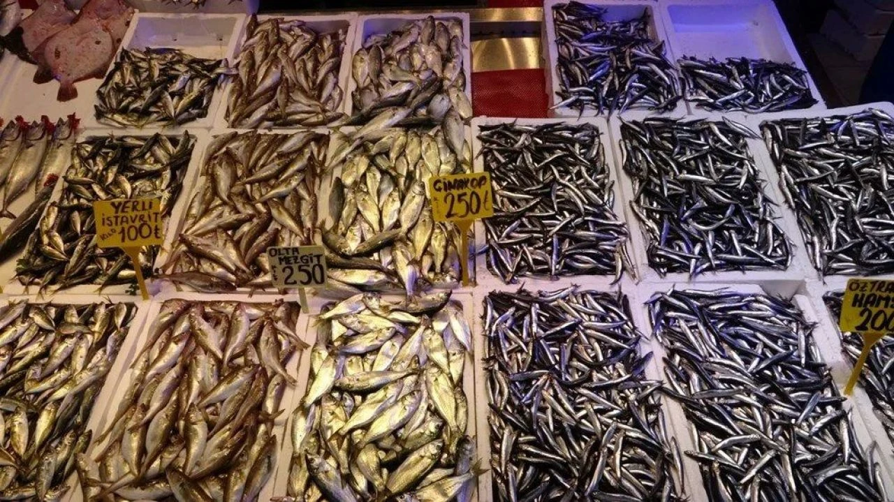 Yüz güldürüyordu ama fiyatı arttı! Kar suyu denize indi, fırtına çıktı - 2. Resim