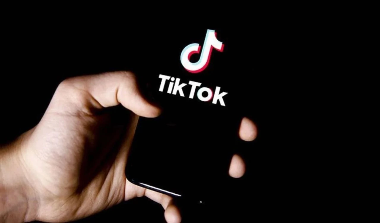 TikTok Türkiye'de temizlik yaptı: Silinen videoların sayısı açıklandı - 1. Resim