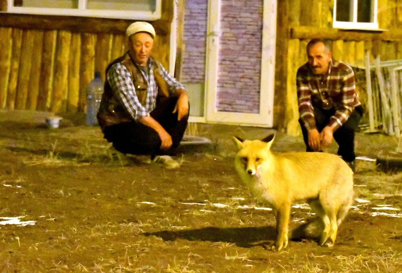 Yurdun doğusu kara teslim: Tatil haberleri peş peşe geldi! - 2. Resim