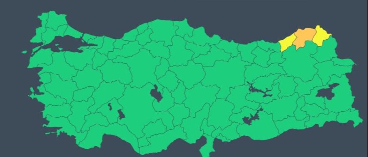 Artvin'de okullara kar tatili kararı! Meteoroloji turuncu kod verdi - 2. Resim