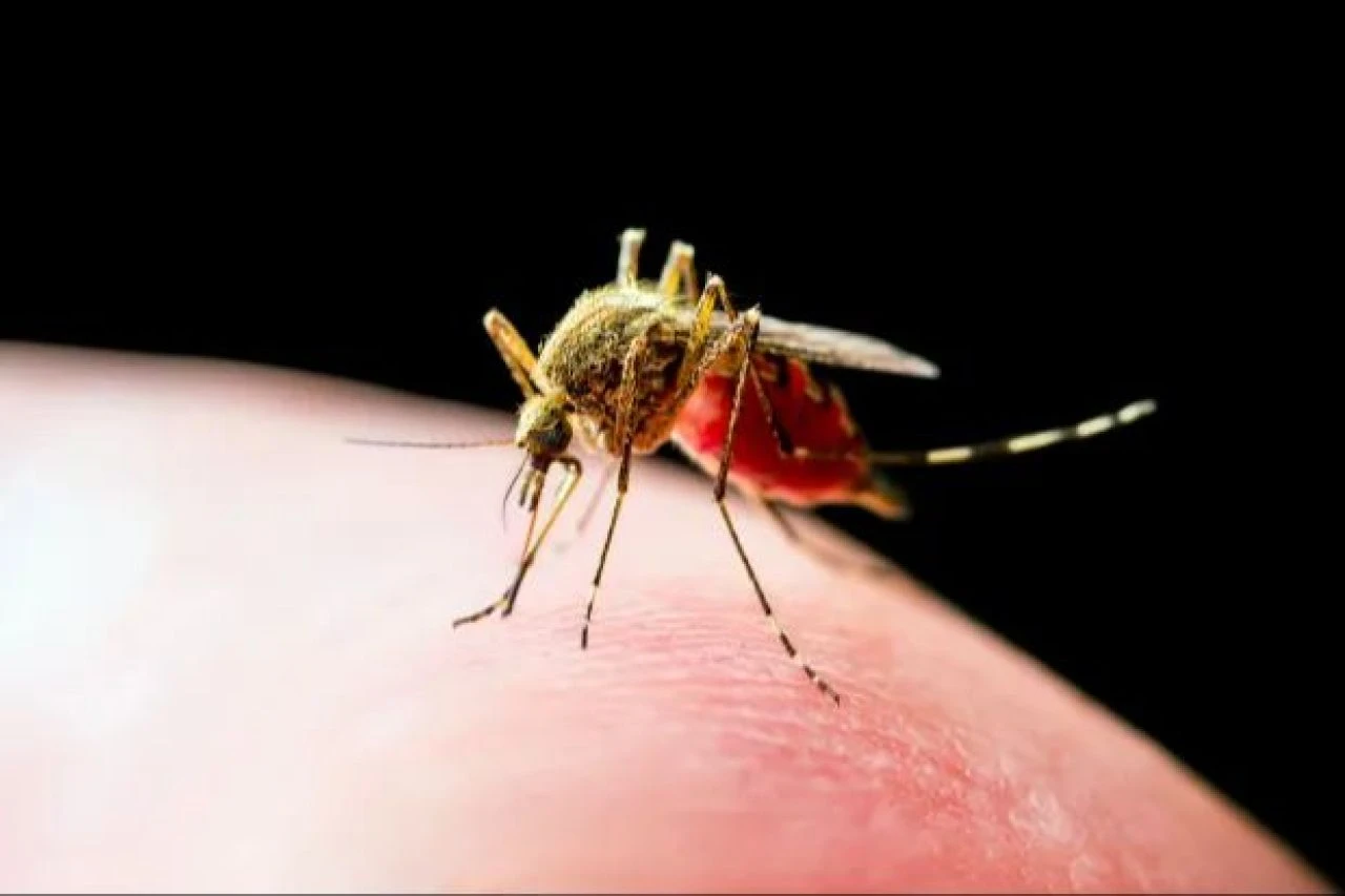 Yaklaşık 2 ayda en az 143 kişiyi öldüren hastalık tespit edildi! Gizem ortadan kalktı - 2. Resim