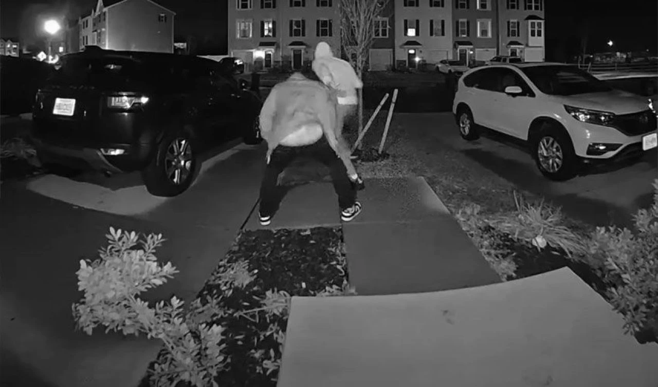 Veranda hırsızı kargoyu çaldı! Ev sahibi ona unutamayacağı bir ders verdi: Tüm internete rezil oldu - 1. Resim