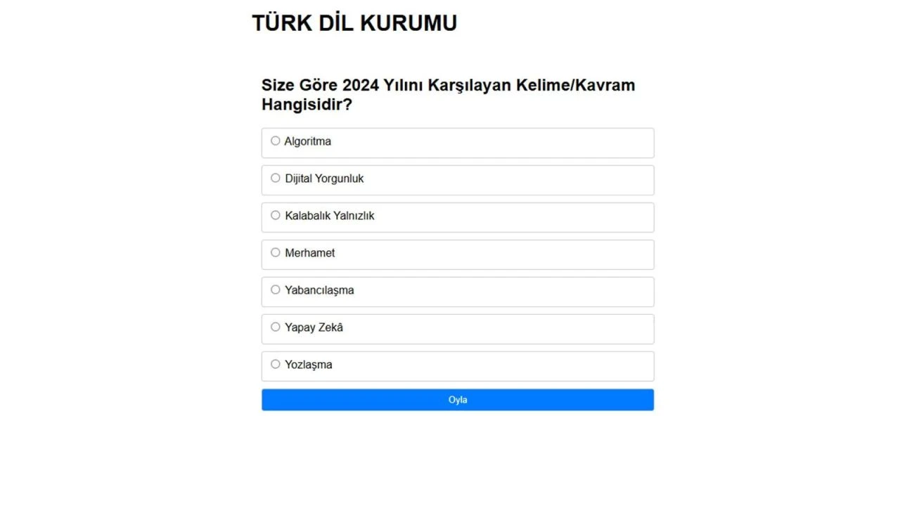 2024’ün kelimesi belli oldu! TDK oylamasına 1 milyon kişi katıldı: İşte o kelime - 3. Resim