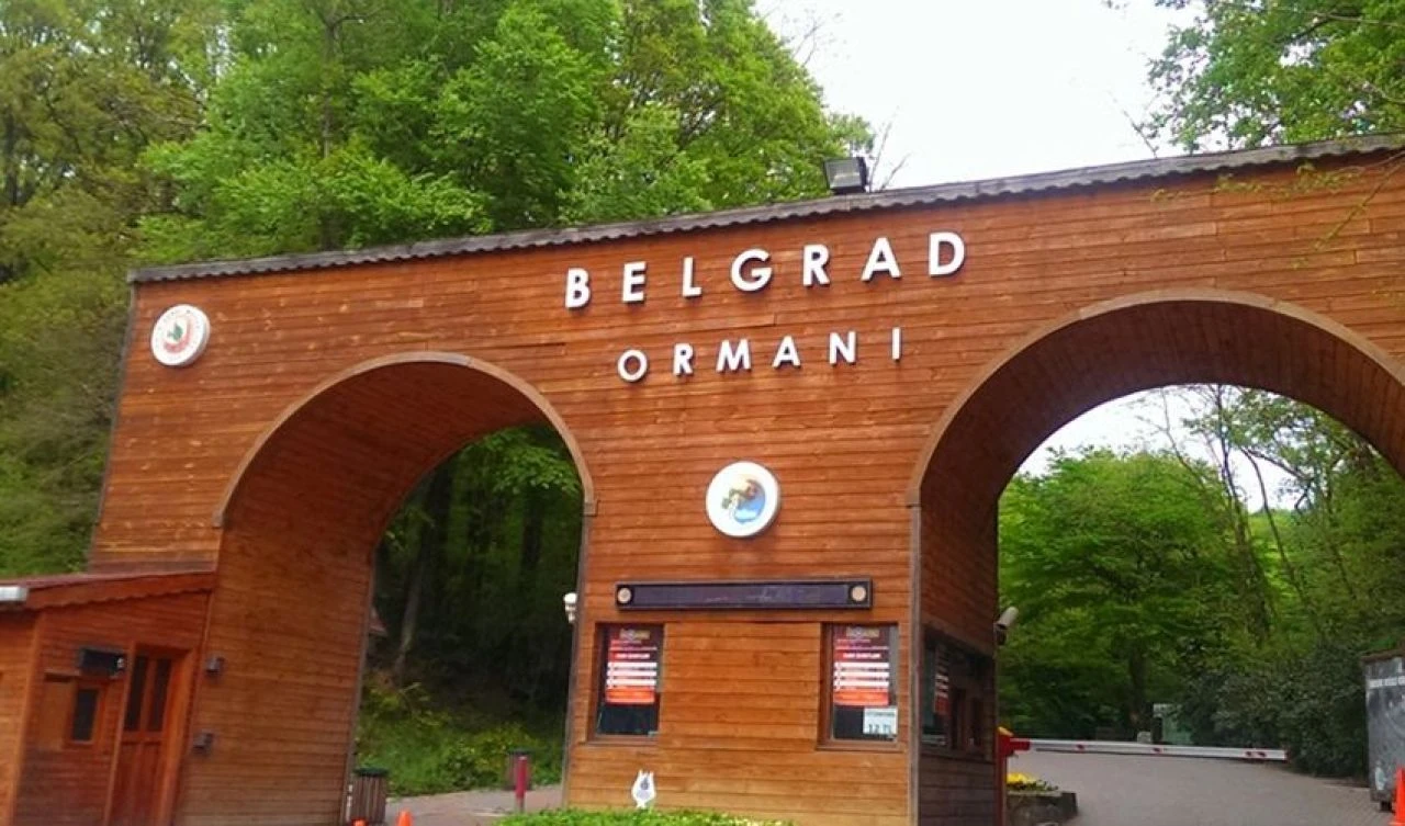 Belgrad Ormanı'ndaki işletmeler artık DKMP tarafından işletilecek - 2. Resim
