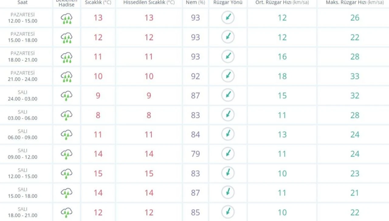 Bugün Adana'da yağmur var mı? 23 Aralık MGM Adana hava durumu raporu - 1. Resim