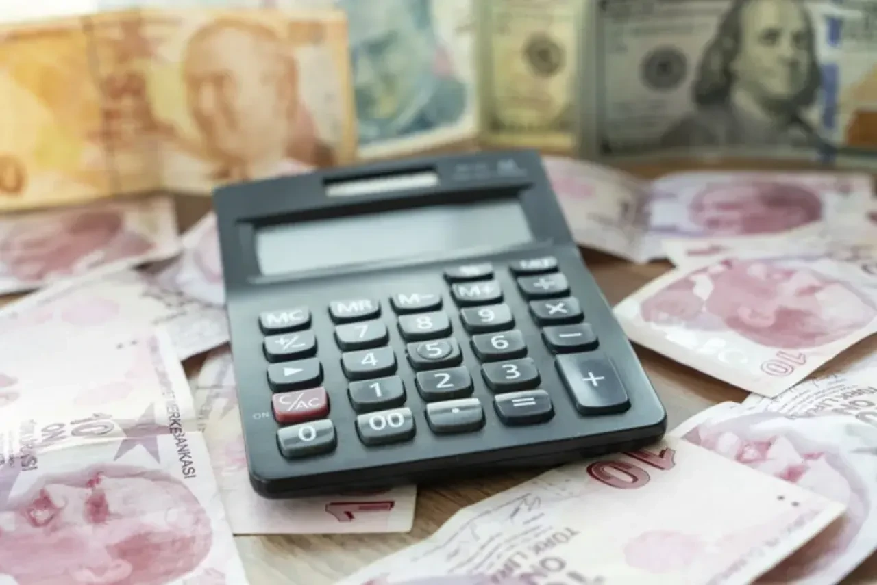 İşsizlik maaşı, kıdem tazminatı, GSS primleri, askerlik ve doğum borçlanması ne kadar oldu? Asgari ücretle birlikte onlar da değişti - 2. Resim