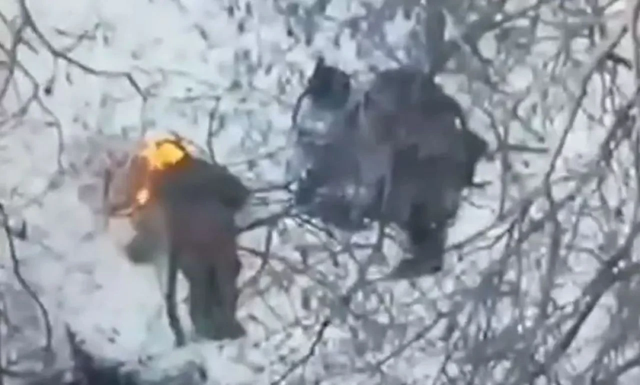 Ukrayna'nın özel ekibi, Kuzey Kore askerlerini dronlarla böyle avladı! Görüntüler kısa sürede sosyal medyada yayıldı - 6. Resim
