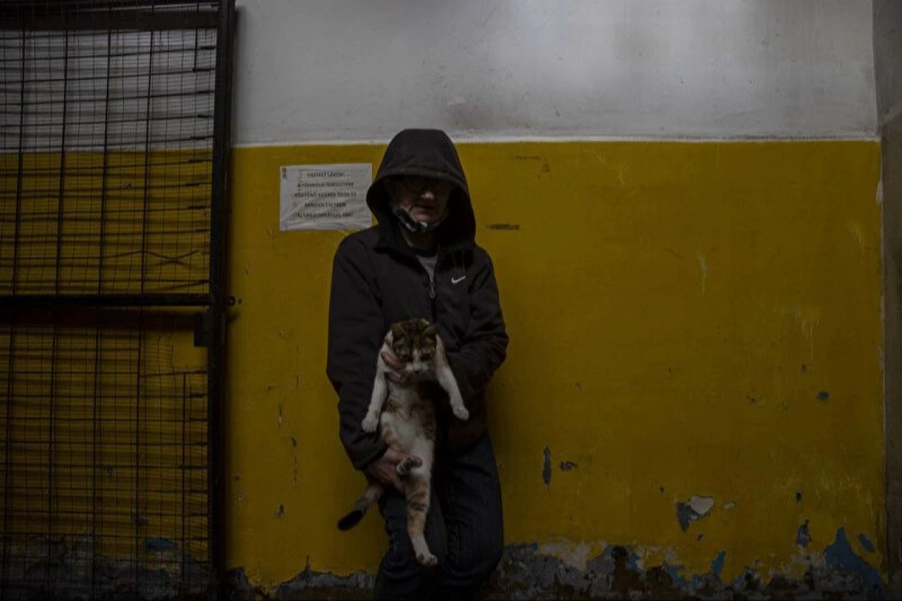 Avrupa'da evsizlik krizi büyüyor: Bir milyon kişi sokakta uyuyor - 3. Resim