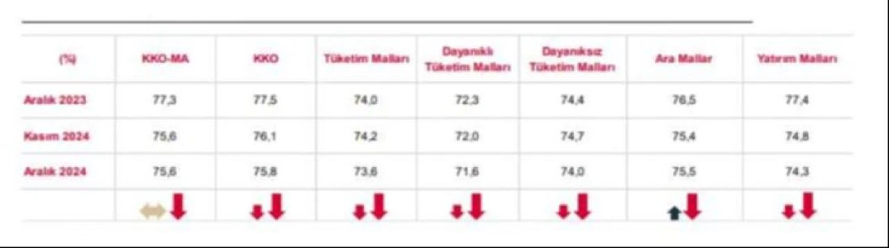 İmalat sanayi kapasite kullanım oranı değişmedi - 1. Resim