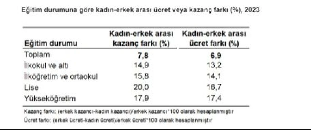 TÜİK kazanç yapısı istatistiklerini duyurdu: Aylık ortalama kişi başı brüt kazanç belli oldu! İşte kadın ve erkeklerin kazancı - 6. Resim